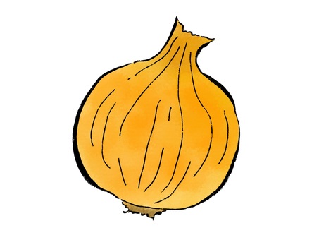 剥く前の丸ごと玉ねぎ 玉ねぎ,野菜,食べ物,筆絵,墨,水彩,挿絵,和風のイラスト素材