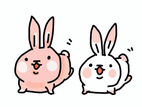 うさぎ 尻尾フリフリ