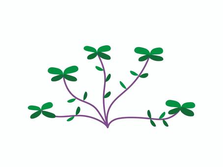 スベリヒユ スベリヒユ,ヒョウ,ヌメリグサ,アカジャ,雑草,野草,草,植物,生薬のイラスト素材