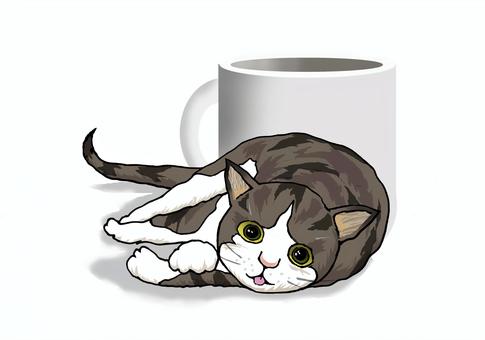 Cats and mugs, animal, cat, a pet, JPG