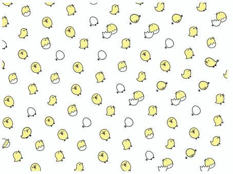 ヒヨコの模様