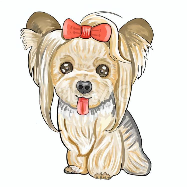 ヨークシャーテリア 犬,ペット,ヨークシャーテリアのイラスト素材