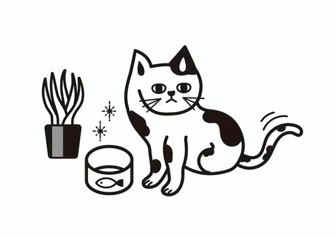 Illustration, cat, san mao cat, animal, 