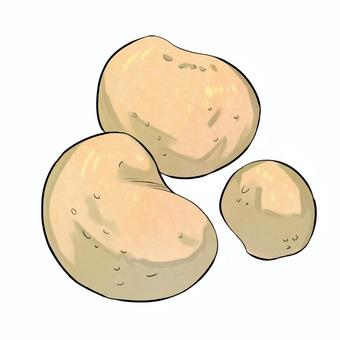 Illustration, potato, new potatoes, spring, 