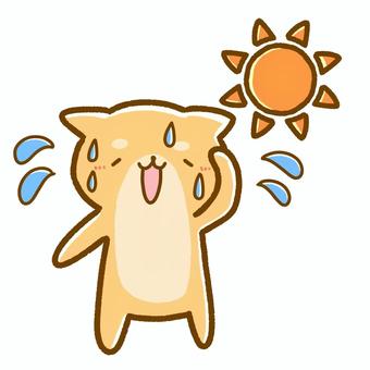 柴犬•暑くて汗をかく 汗,汗をかく,柴犬,犬,動物,太陽,暑い,猛暑,夏,シンプルのイラスト素材