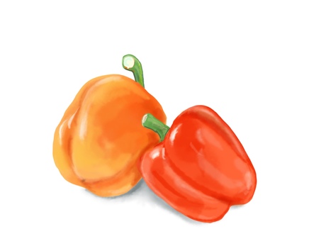 パプリカ パプリカ,野菜,赤パプリカ,リアル,手描きのイラスト素材