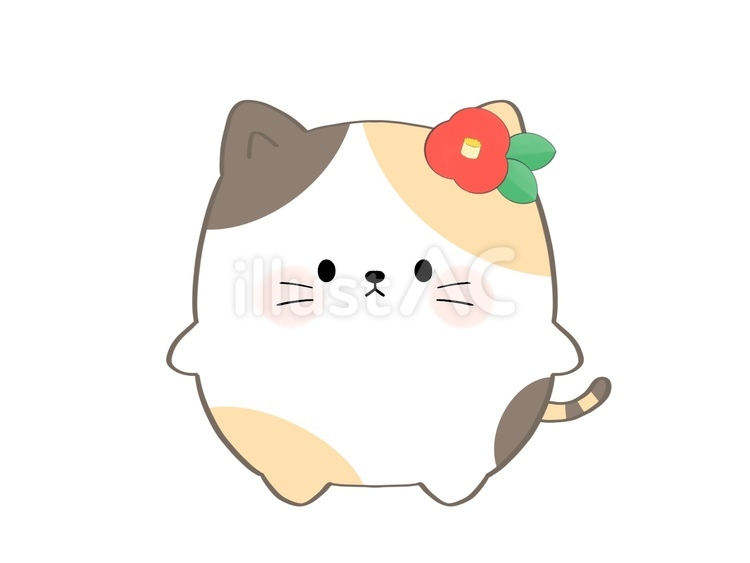 椿の飾りをつけた猫 猫,かわいい,丸いのイラスト素材