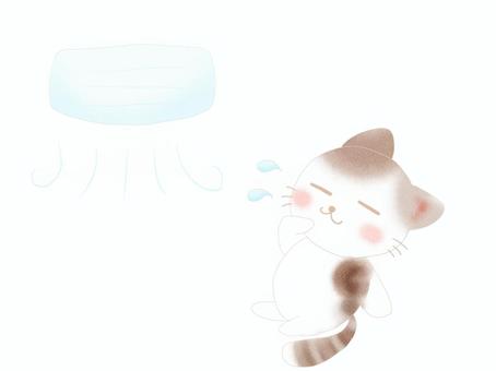 Illustration, cooler, cat, animal, 