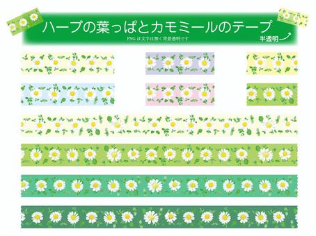 草本葉子和洋甘菊膠帶, JPG, PNG 和 AI 草本葉子和洋甘菊膠帶, , JPG, PNG 和 AI