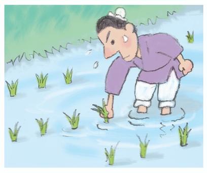 田植え 田植え,中国,農夫,米作り,苗,植える,春,風景,人物,生活のイラスト素材