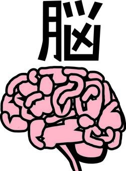 脳　 脳,脳みそ,人体,医学,医療,病気,デフォルメ,漢字,線画のイラスト素材