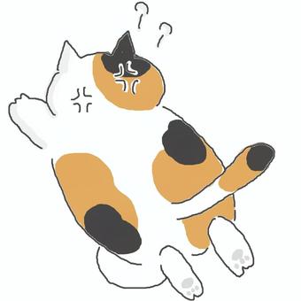 怒って追いかける三毛猫ちゃん 三毛猫,かわいい,怒る,追いかける,不満,不服,文句,不機嫌,走る,ダッシュのイラスト素材