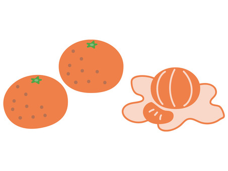みかんの皮むき みかんの皮むき ミカン,果物,冬,オレンジ,丸い,皮のイラスト素材