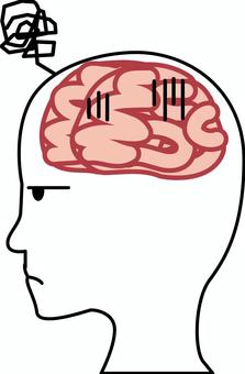 Illustration, brains, cerebrum, frontal lobe, 