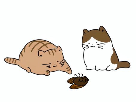 猫とひっくり返った蝉 猫,蝉,動物,かわいい,夏,手書きのイラスト素材