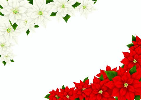 Illustration, poinsettia, christmas, flower, 