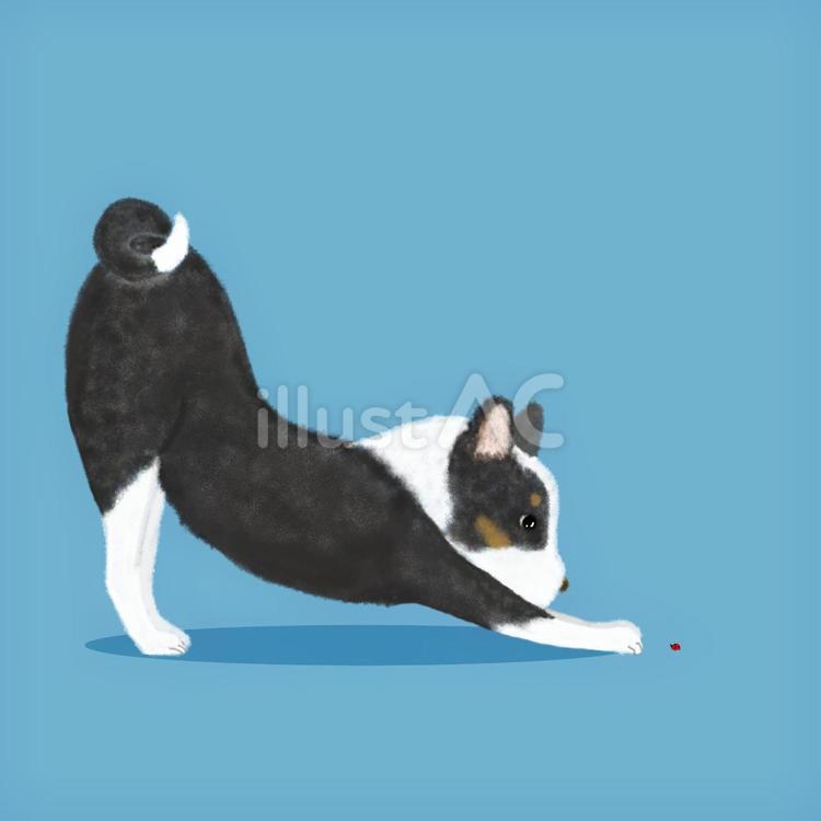 子犬とてんとう虫 犬,子犬,横向きのイラスト素材