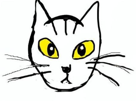 猫 猫,顔,動物,生き物,手書きのイラスト素材