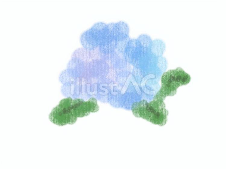 水彩画のあじさい　イラスト 紫陽花,水彩画,花のイラスト素材