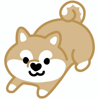 ハート鼻の柴犬（ふせ）1 柴犬,犬,動物,ハート,鼻,ふせ,シンプル,かわいい,キュート,デフォルメのイラスト素材