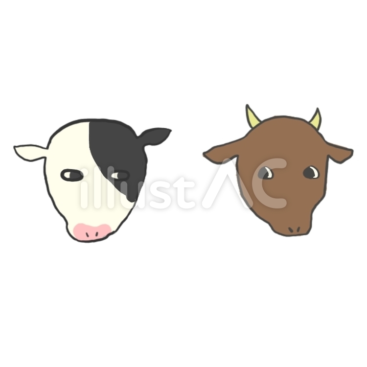 2匹の牛 牛,顔,シンプルのイラスト素材