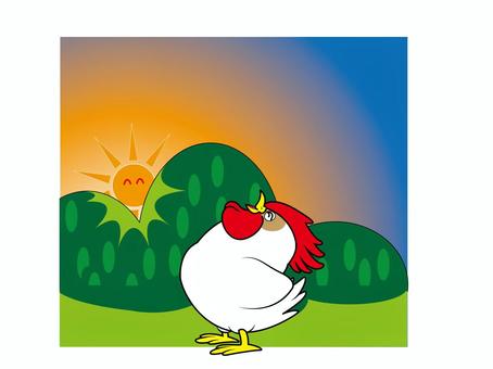 Illustration, morning, chicken, tiny, 