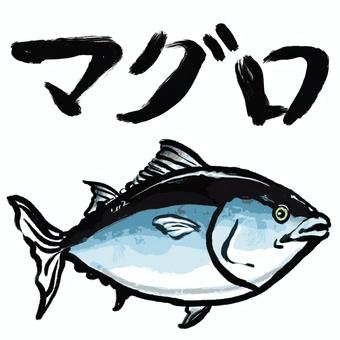 Tuna, tuna, fish, text, JPG, PNG and AI