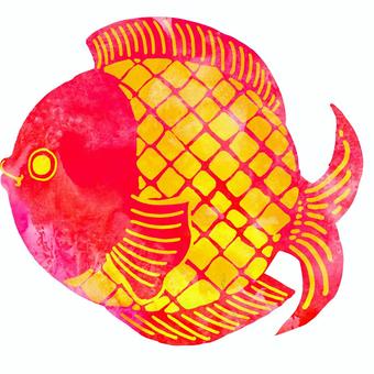 Watercolor fish 5, मछली, आबरंग, पैटर्न, JPG and PNG