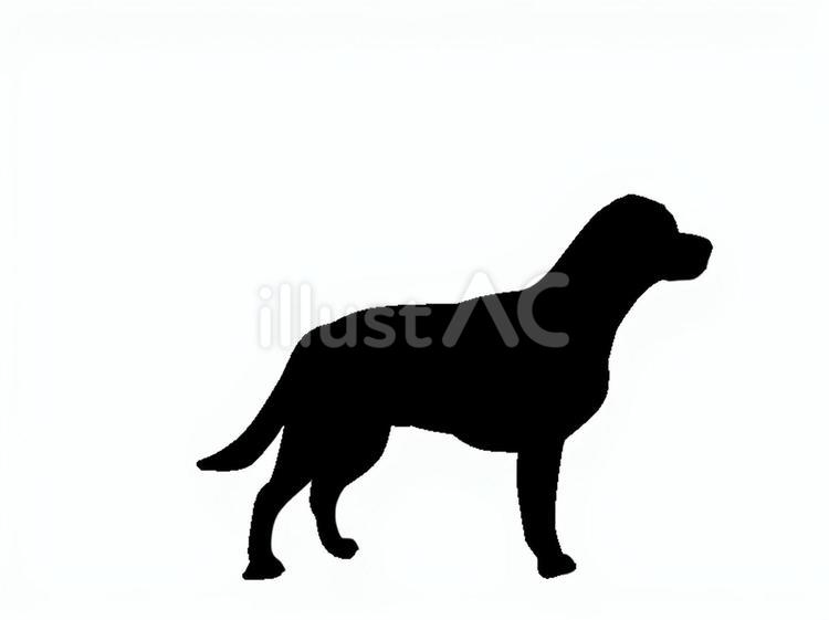 犬。。 犬,シルエット,動物のイラスト素材