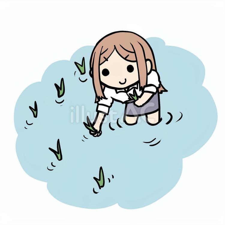 楽しく田植えする女性 女性,田植え,田んぼのイラスト素材