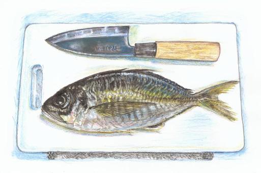 まな板の上の真鯵(マアジ)と包丁 まな板の上の真鯵(マアジ)と包丁 アジ,魚,包丁,料理,鮮魚,海産物,まな板,食べ物,ナマモノ,新鮮のイラスト素材