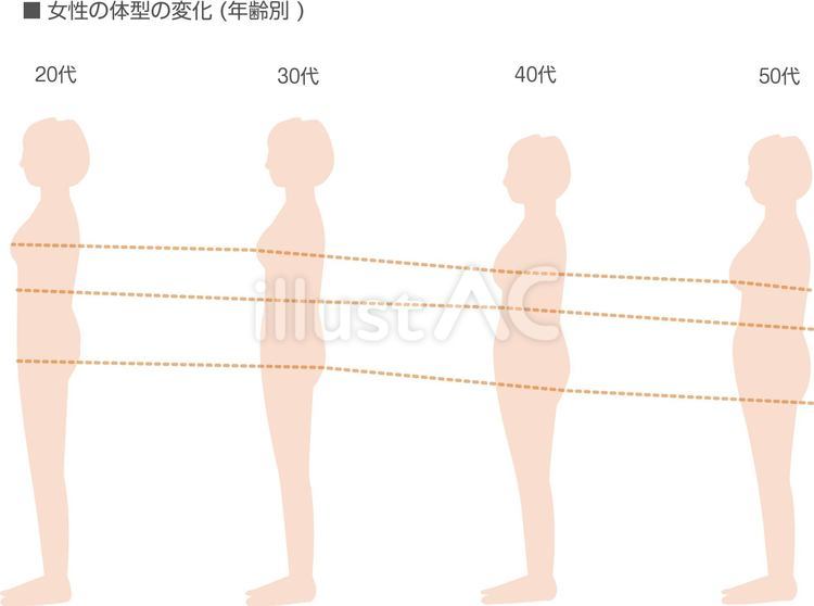 女性の体型の変化（年齢別） 年齢別,比較,体型のイラスト素材