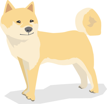 Illustration, dog, shiba inu, brown, 