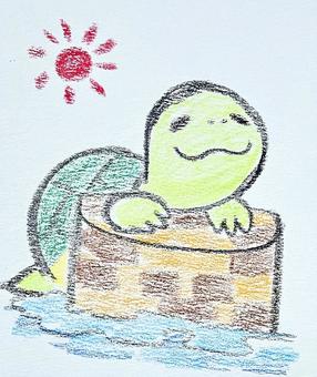 カメ カメ,夏,のんびり,動物,くつろぐのイラスト素材