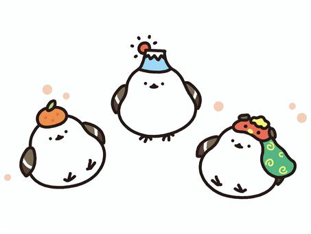 Illustration, shimaenaga, पक्षी, पशु, 