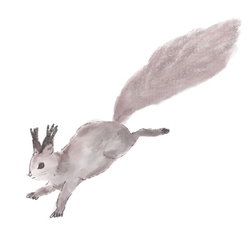 エゾリス エゾリス リス,エゾリス,野生動物,北海道,絵本のイラスト素材