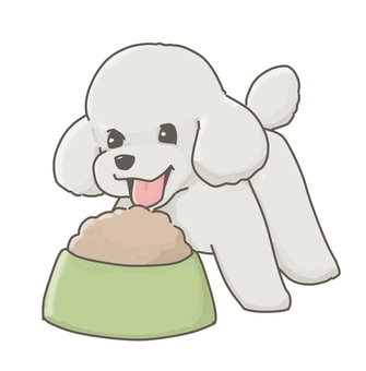 ごはんを食べる犬 犬,プードル,ドッグフード,食事,動物病院,dog,体重管理,ドライフード,ごはん,しつけのイラスト素材