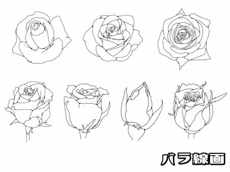 バラ・線画