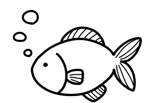 魚の線画 魚,泡,線画,ひれ,手描きのイラスト素材
