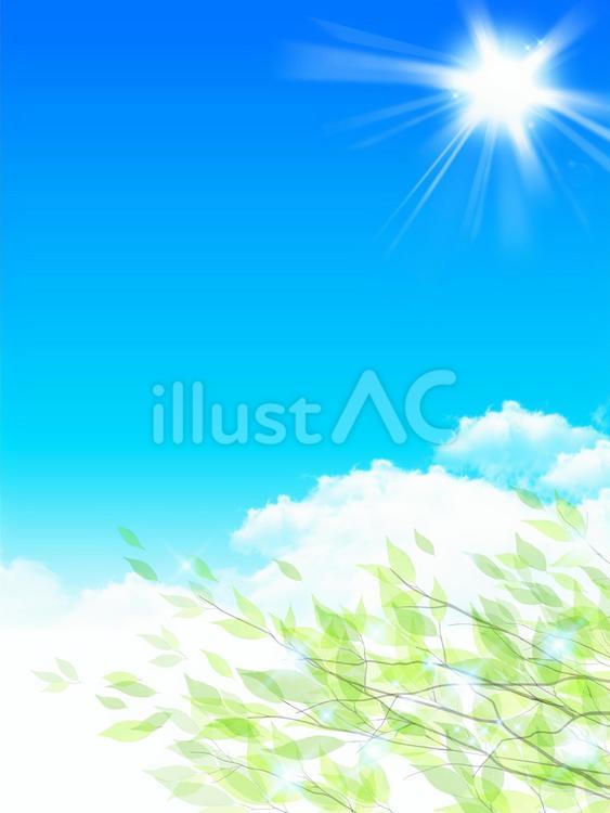 gn063 キラキラ太陽と新緑の木漏れ日 新緑,光,リアルのイラスト素材