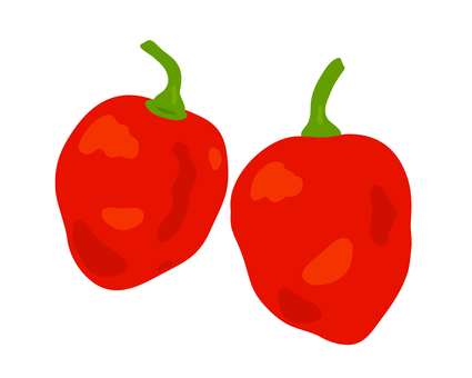 ハバネロ ハバネロ ハバネロ,野菜,食べ物,食材,料理,レシピ,手描き風,ラフ,かわいい,献立のイラスト素材