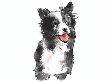 リアルな犬のイラスト 犬,ペット,大型犬,中型犬,動物のイラスト素材