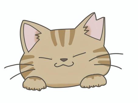 耳カット猫　メス猫　茶トラ 保護猫,メス猫,耳カット,さくら猫,茶トラ,tnr,さくら耳,避妊手術,保護活動,野良猫のイラスト素材