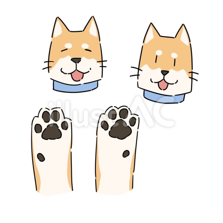 ゆるい柴犬のイラストイラスト No 無料イラストなら イラストac