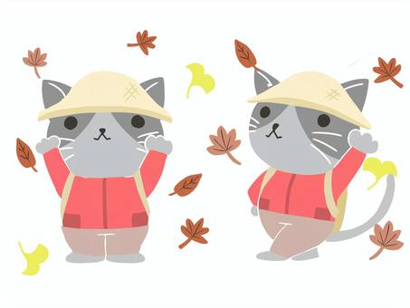 紅葉狩りをするネコの全身イラスト ねこ,全身,紅葉,秋,キャンプ,グレー,はちわれ,動物,カラー,かわいいのイラスト素材