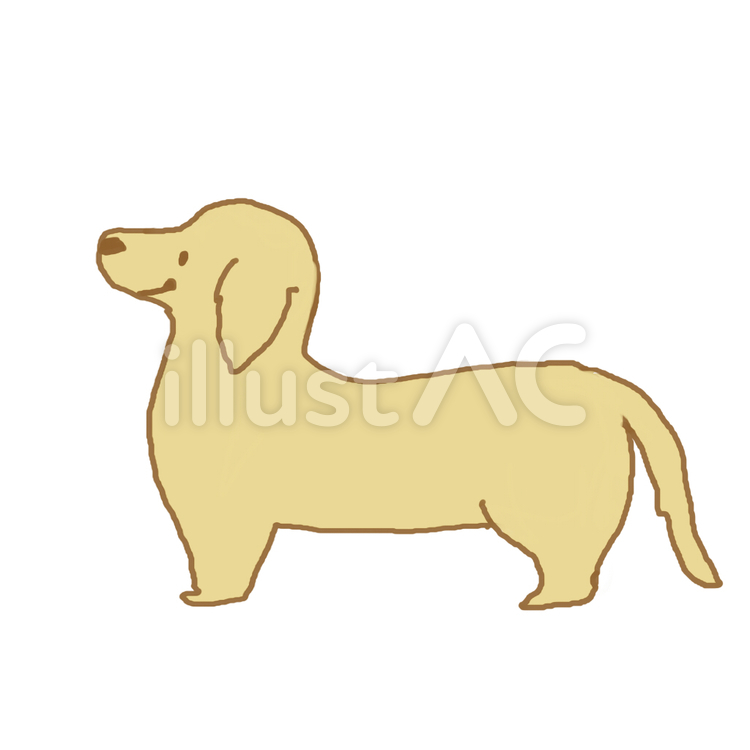 犬 犬,ペット,可愛いのイラスト素材