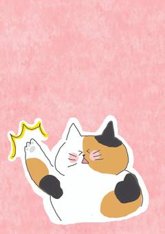 なんでやねん かわいい,なんでやねん,なんで,ツッコミ,突っ込む,ねこ,三毛猫,どうぶつ,いきもの,ペットのイラスト素材