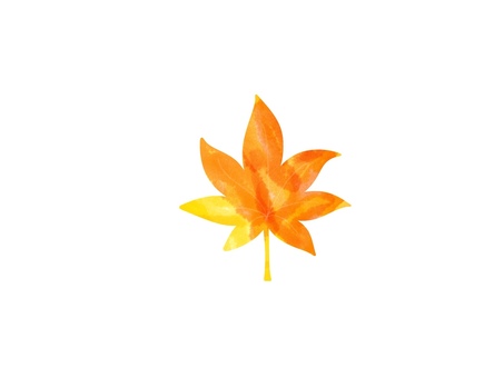植物☆葉☆もみじ☆キオレンジ☆水彩風