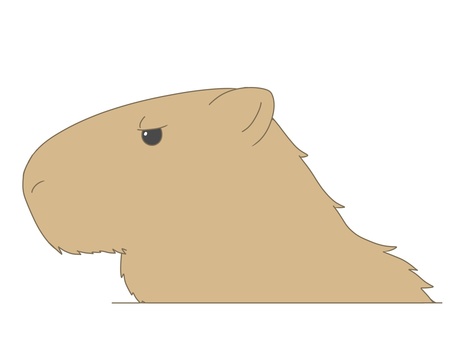 Illustration, capybara, animal, creatures, 