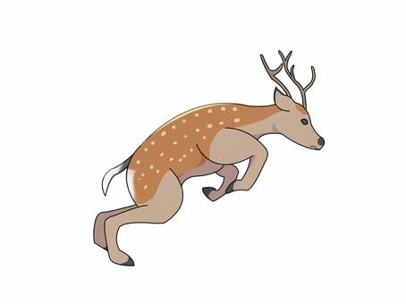 ニホンジカ(ジャンプ) ニホンジカ(ジャンプ) ニホンジカ,鹿,動物,奈良,ジャンプのイラスト素材